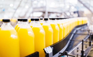 Sustainability | audit value chain