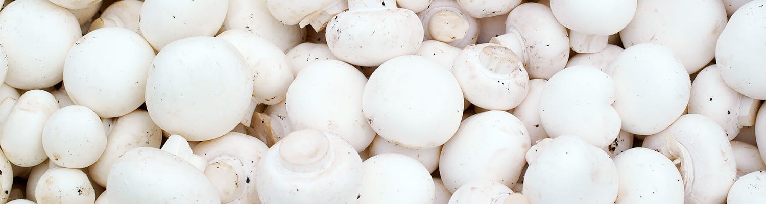 White button mushrooms | Natural preservatives | Leatherhead Food Research